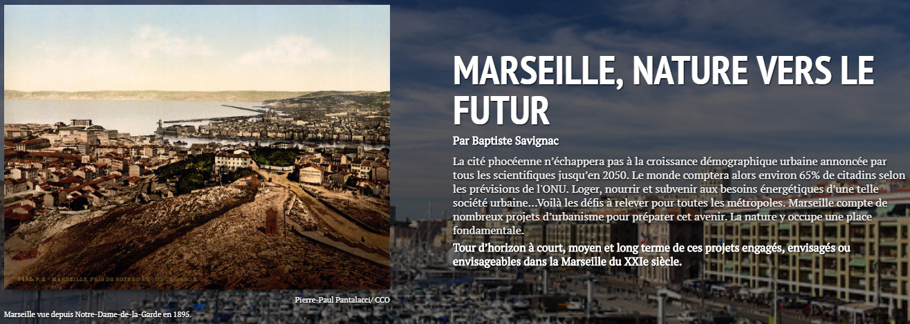 Marseille Timeline